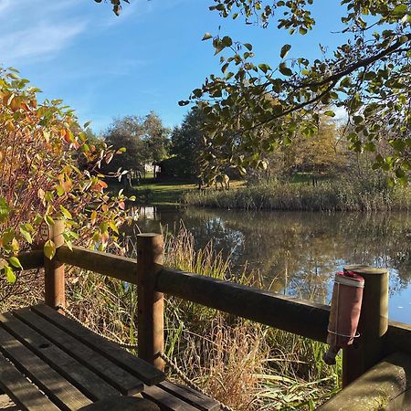 Angie'S Haven, Superb 2 Bedroom Lodge With Hot Tub - Sleeps 6 - Felmoor Park Morpeth Eksteriør bilde