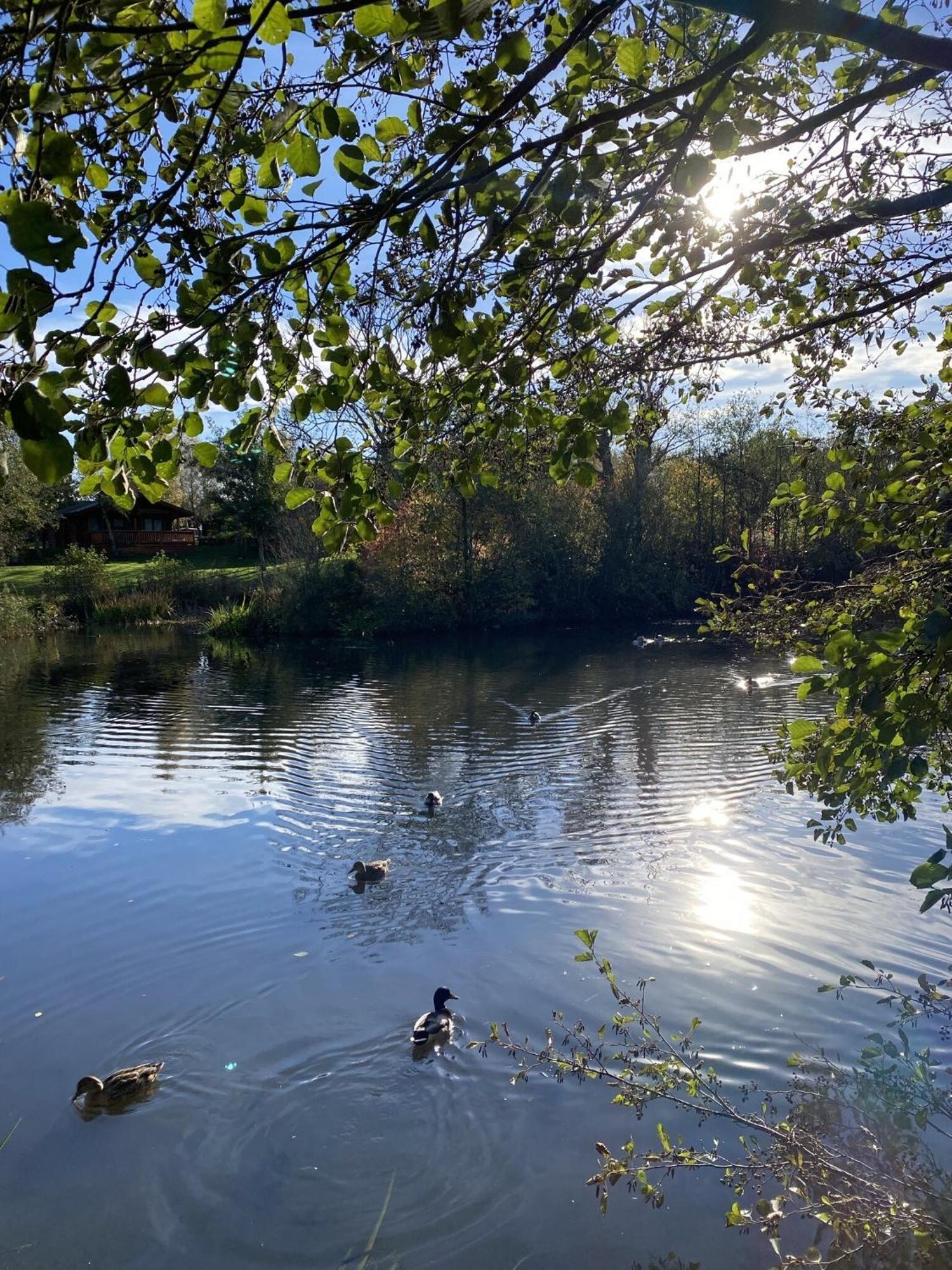 Angie'S Haven, Superb 2 Bedroom Lodge With Hot Tub - Sleeps 6 - Felmoor Park Morpeth Eksteriør bilde